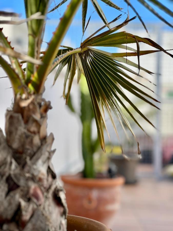 La Terraza De Porvenir 10 - Jerez De La Fronteraアパートメント エクステリア 写真