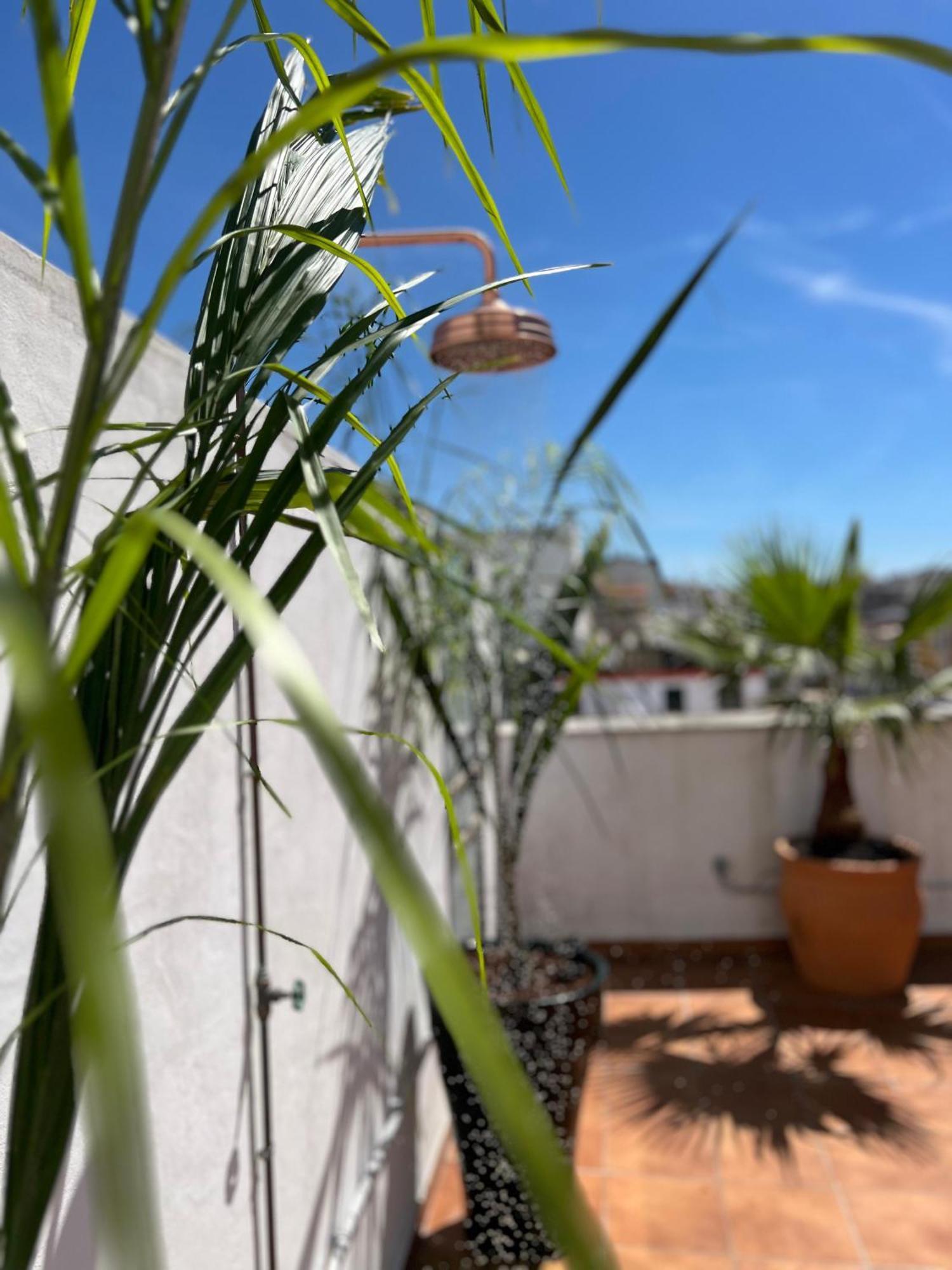 La Terraza De Porvenir 10 - Jerez De La Fronteraアパートメント エクステリア 写真
